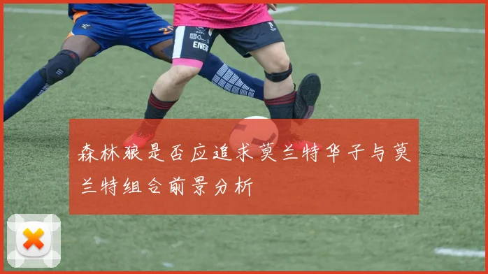 森林狼是否应追求莫兰特华子与莫兰特组合前景分析