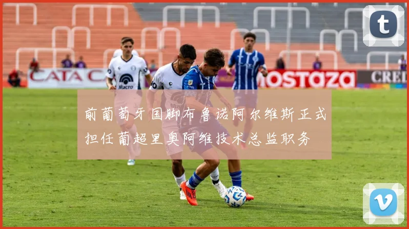 前葡萄牙国脚布鲁诺阿尔维斯正式担任葡超里奥阿维技术总监职务