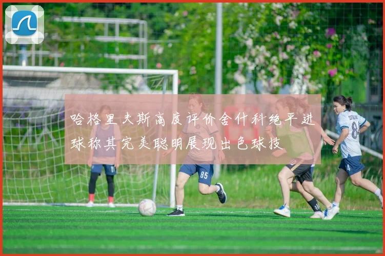 哈格里夫斯高度评价舍什科绝平进球称其完美聪明展现出色球技