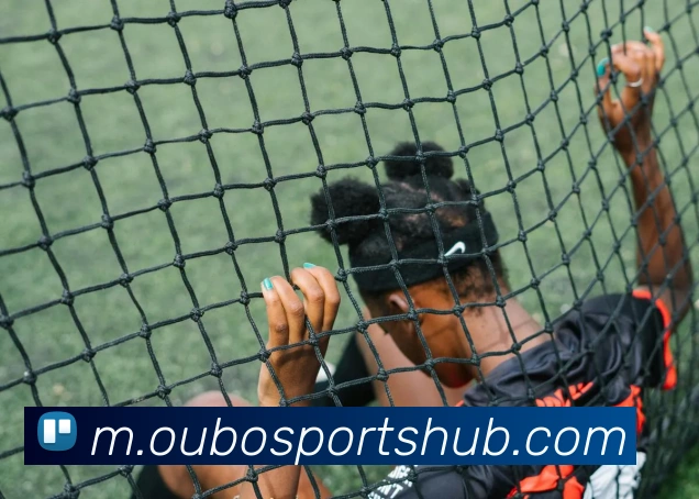 欧宝体育平台生态图